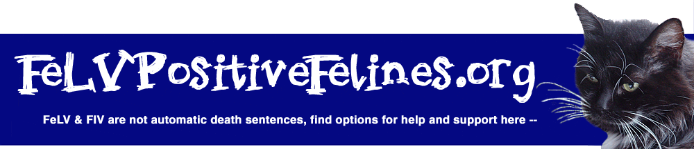 FeLVPositiveFelines.org [FeLV.org]